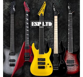 Нове надходження: LTD Deluxe/Signature!, зображення 1